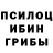 Псилоцибиновые грибы мицелий Nataliq Korovkevich