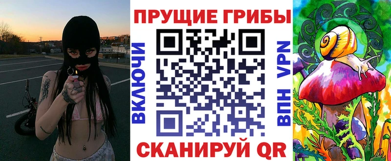 Псилоцибиновые грибы мицелий  Новотроицк 